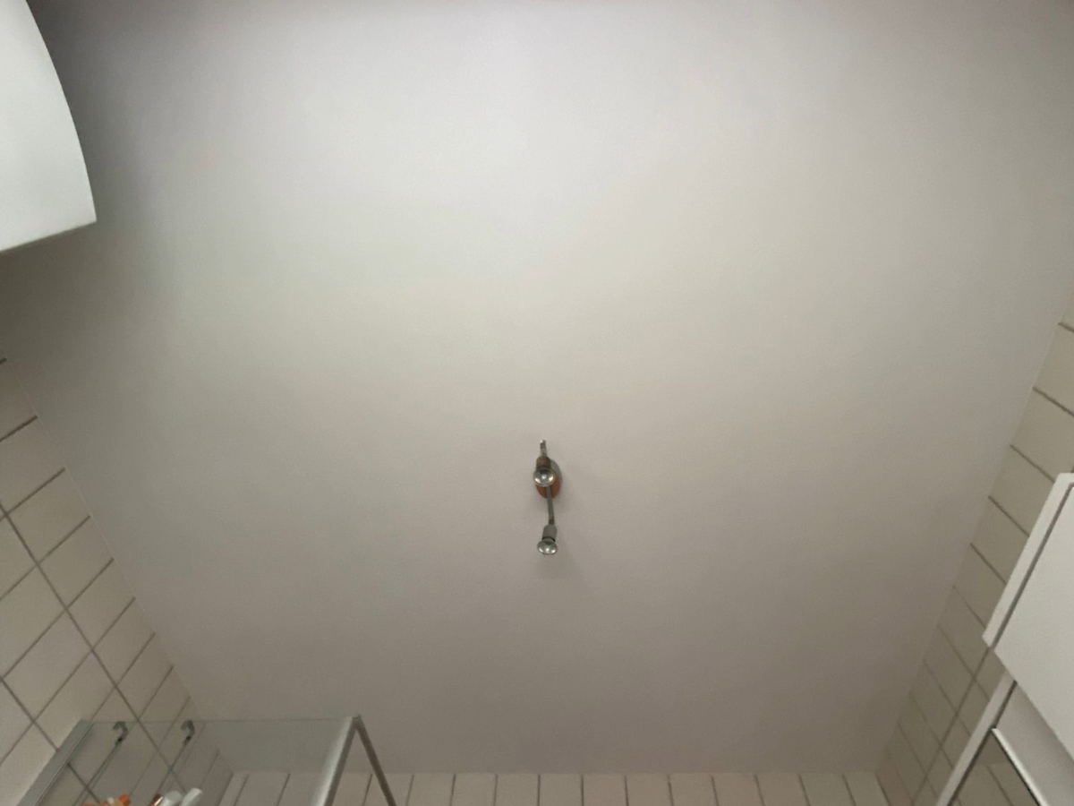 schimmel nachher (2)