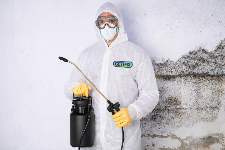 Schimmelbeseitigung Getifix-wb