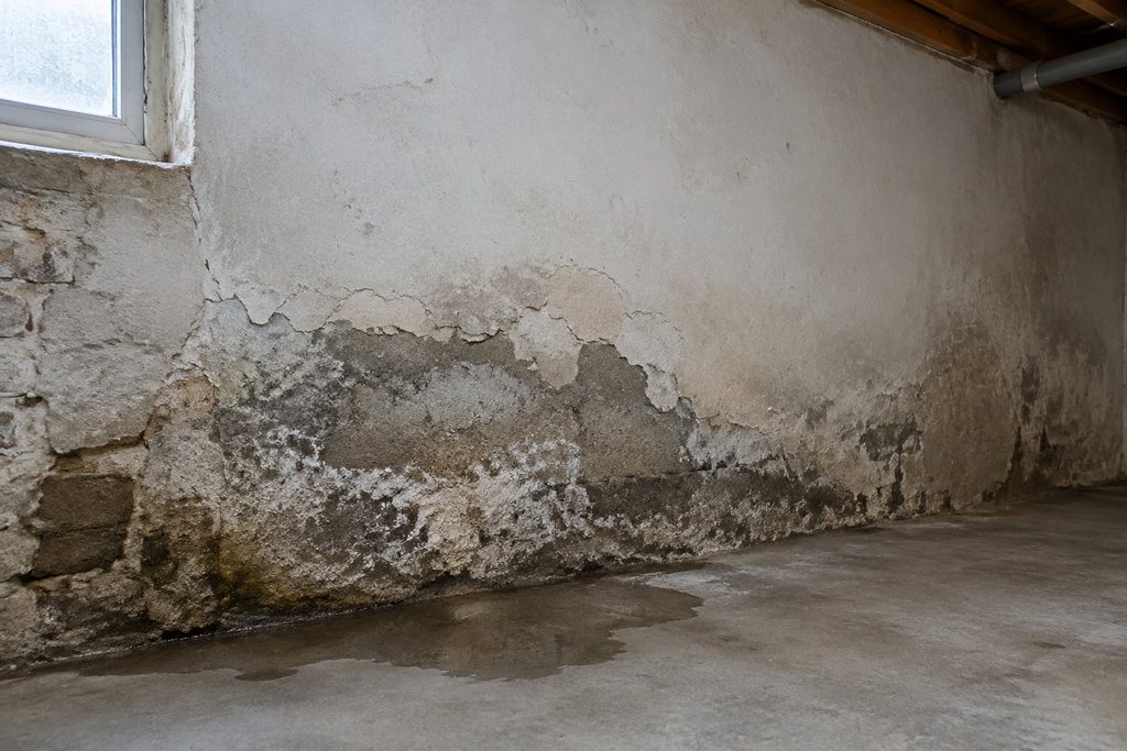 Aufsteigende Feuchtigkeit im Keller