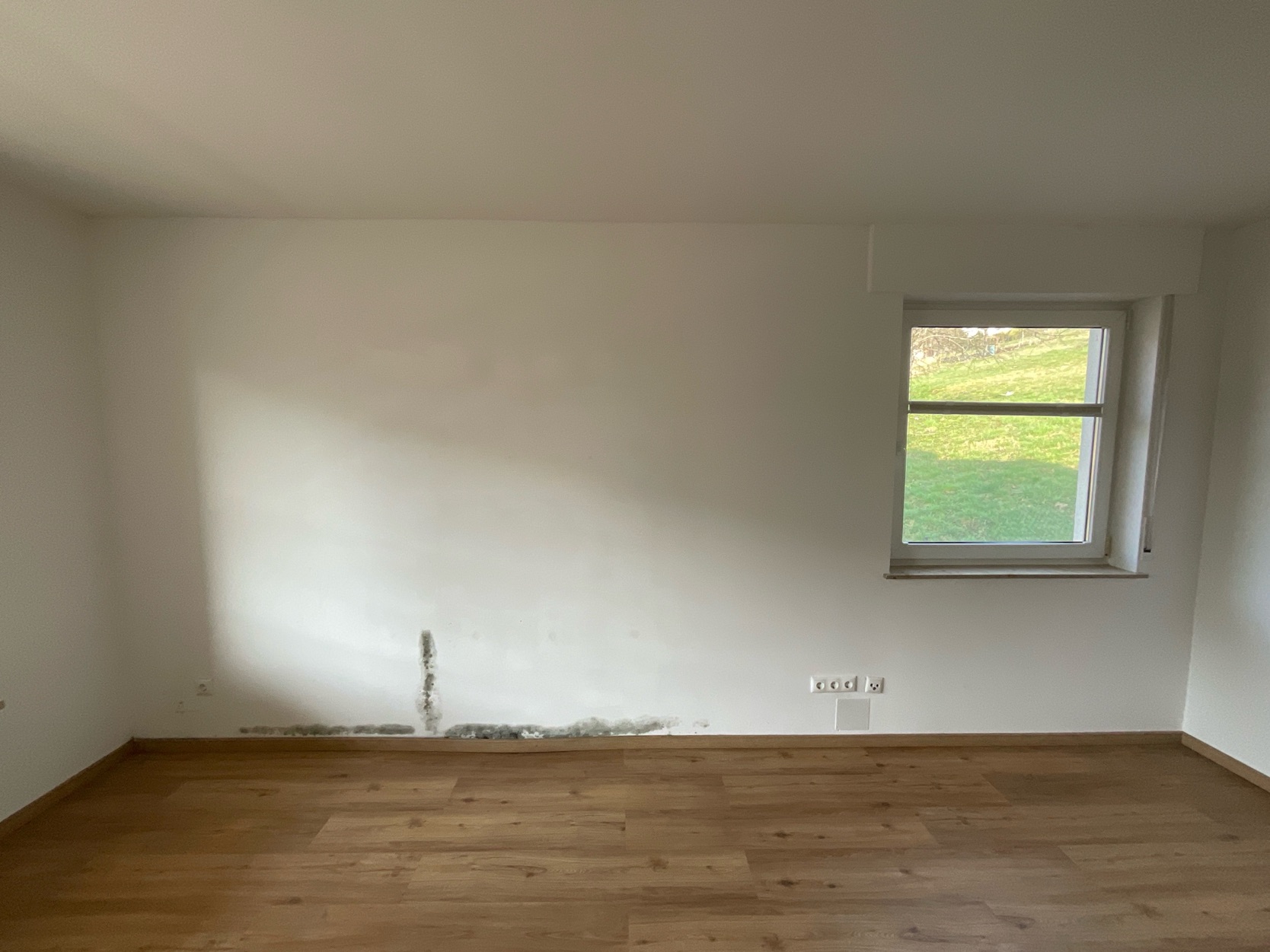 Vorher Schimmelsanierung Vorher Schimmelsanierung
